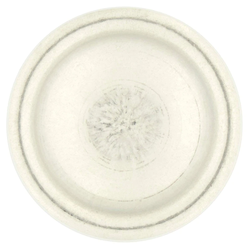 Felce Azzurra - Odorizant clasic cu formula IdraTalk, eficient timp de 48 de ore, fără pete - 150 m