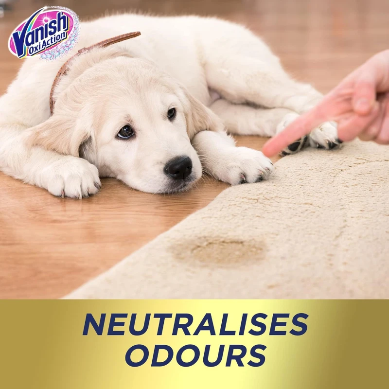 Vanish detergent pentru covoare și tapițerii, spumă puternică, șampon pentru curățarea suprafețelor mari, 650ml